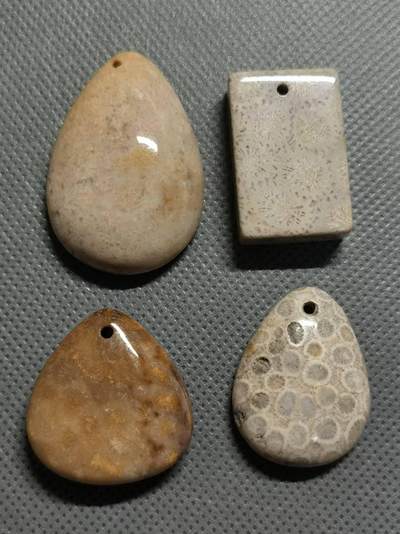 七河·世界钱币杂件小拍（总第26期） - 25-14.海洋生物化石 吊坠一组4件 不同品种和颜色，很有欣赏和研究价值。