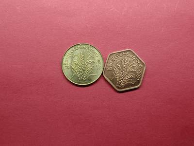 外国硬币 缅甸硬币