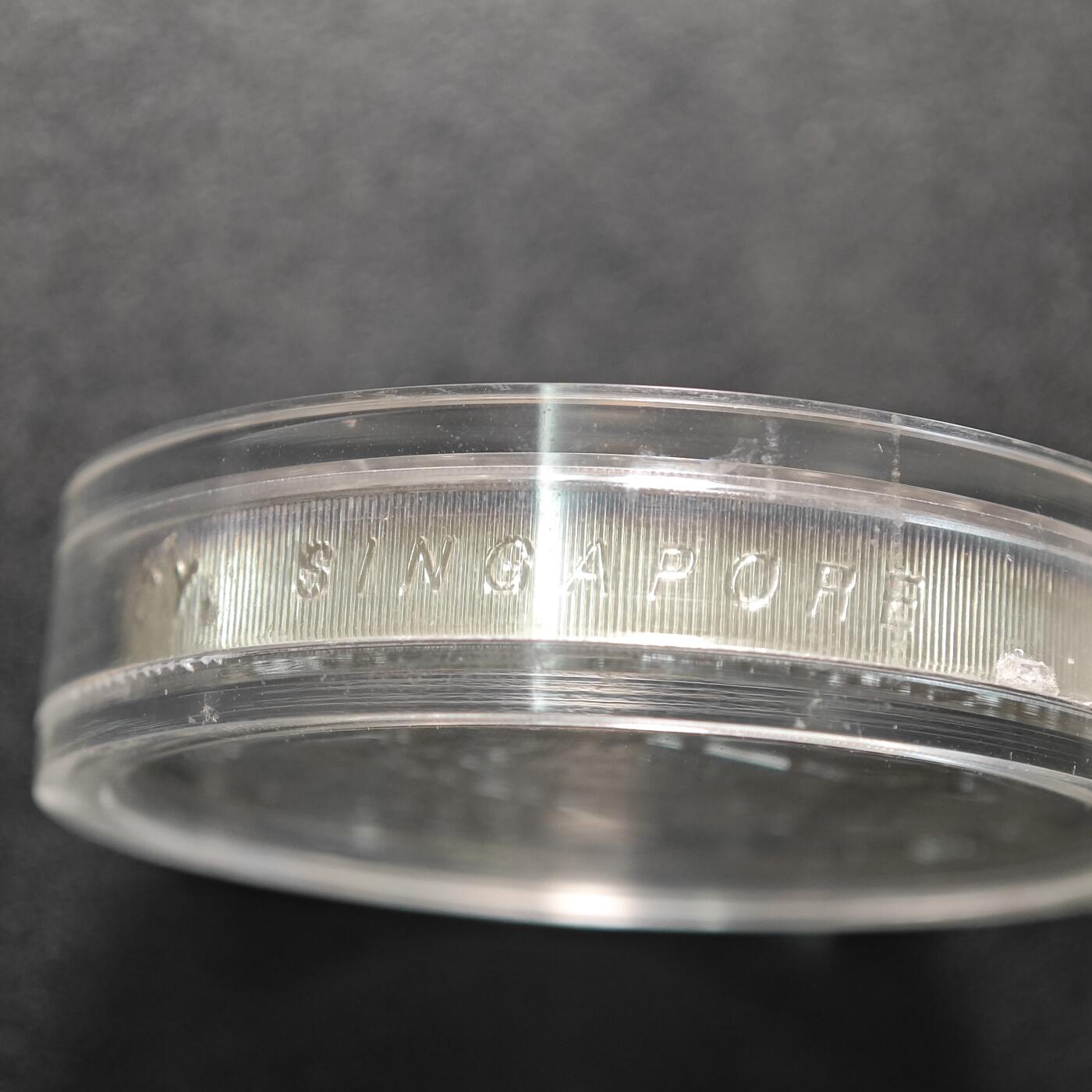 【北京钱博会拍卖周】【德藏】世界币章拍卖第104期(全场顺丰包邮)