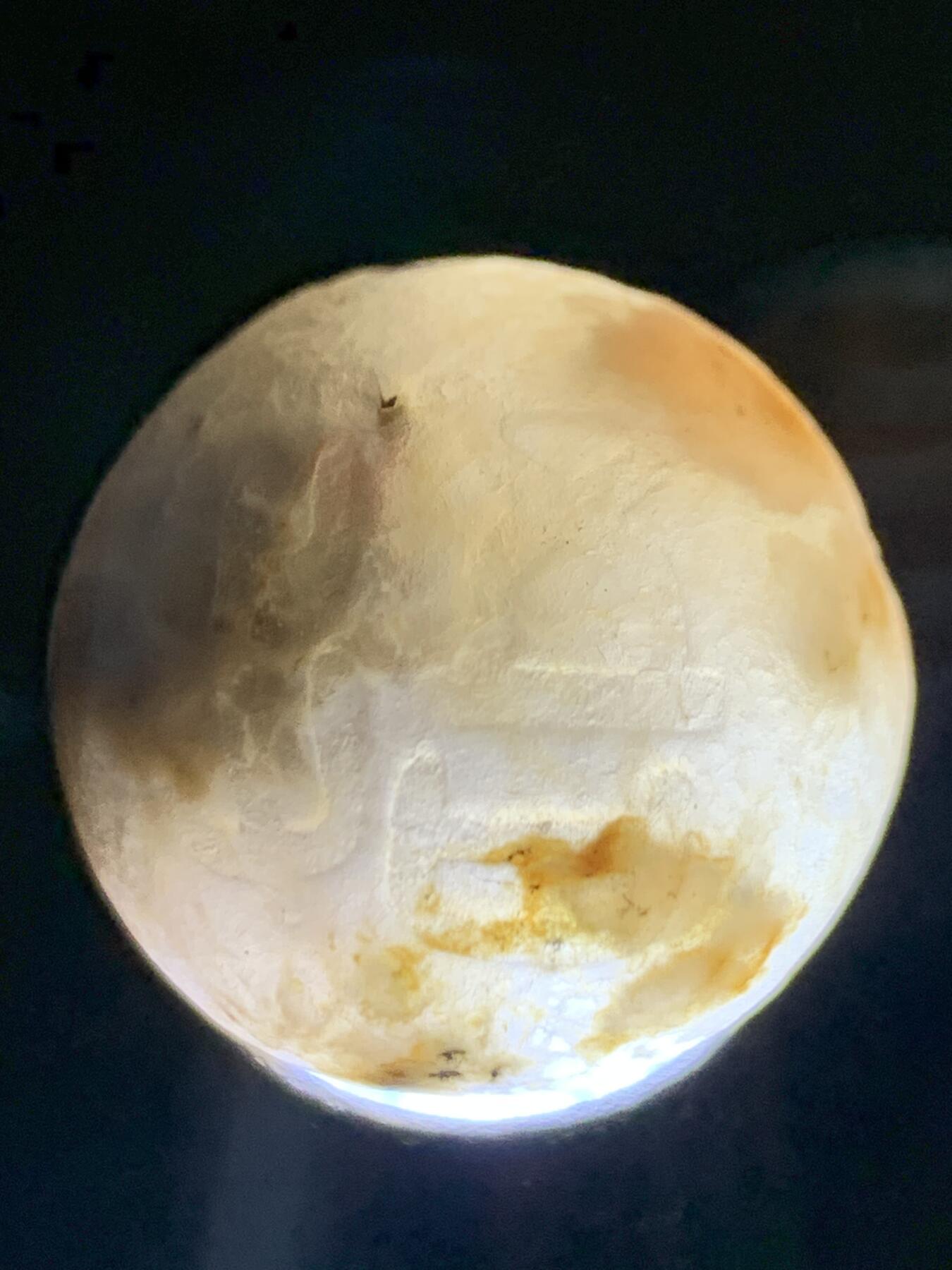 精美亚光原皮天眼纹冰飘糖心料战国红玛瑙手工雕刻悟字随形珠一颗