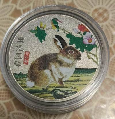 开心放漏 - 非常漂亮的玉兔呈祥纪念章