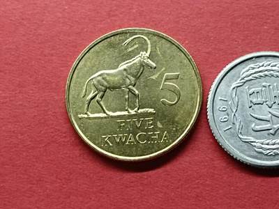 外国硬币套币散币 赞比亚硬币5
