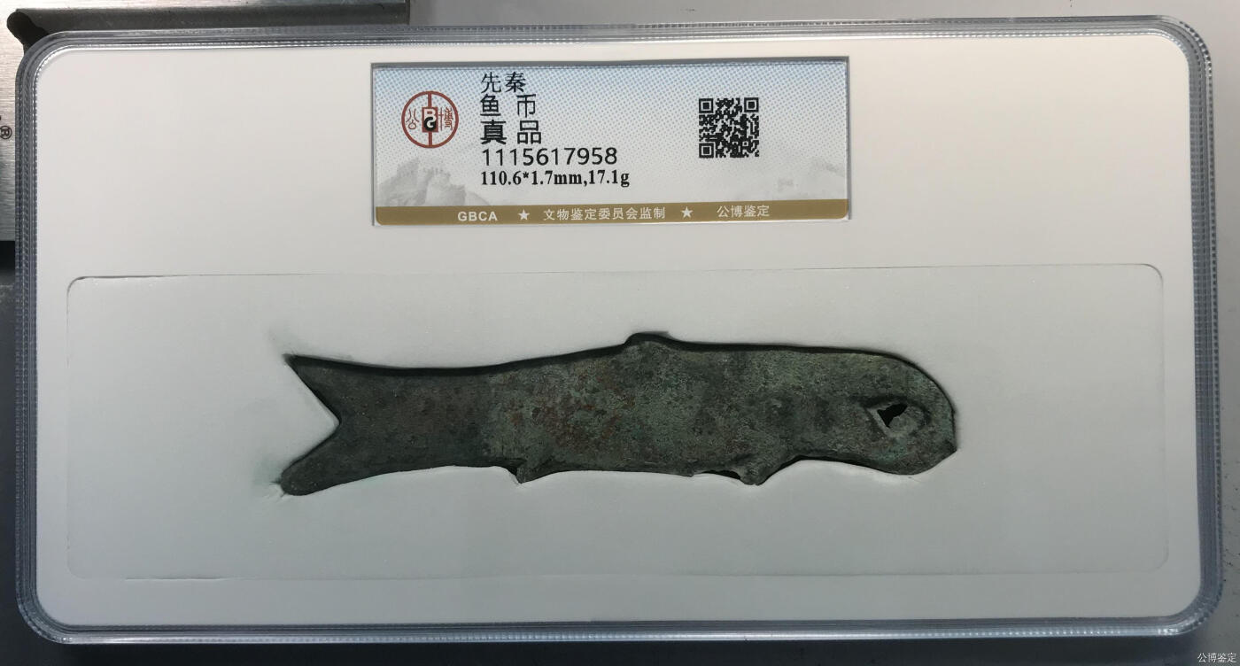 鱼  币