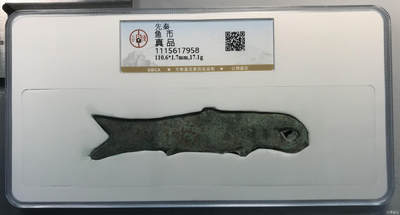 鱼  币 - 鱼  币