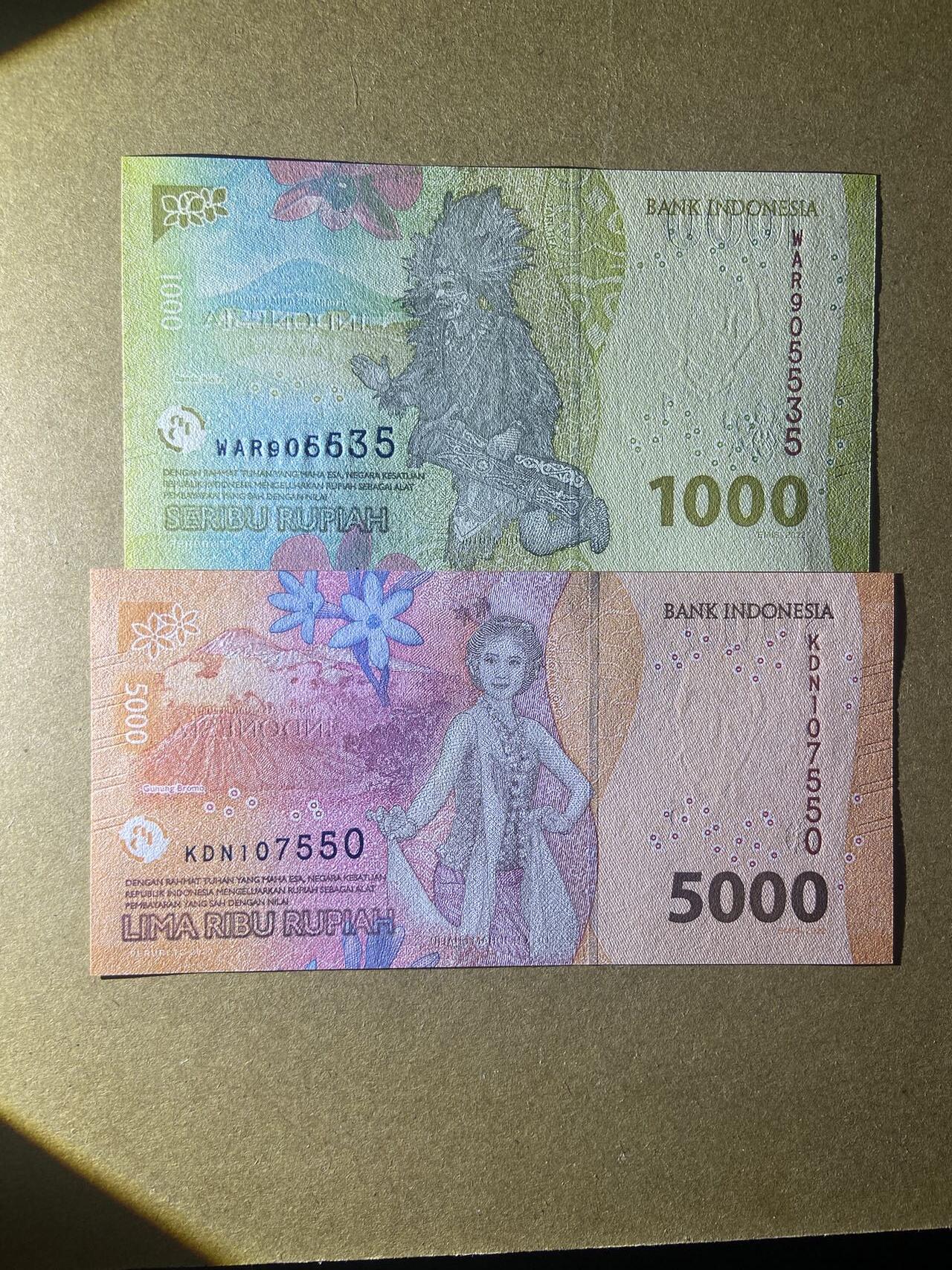 【炜奕收藏】，第十八期 印尼新版纸币两张，UNC品相