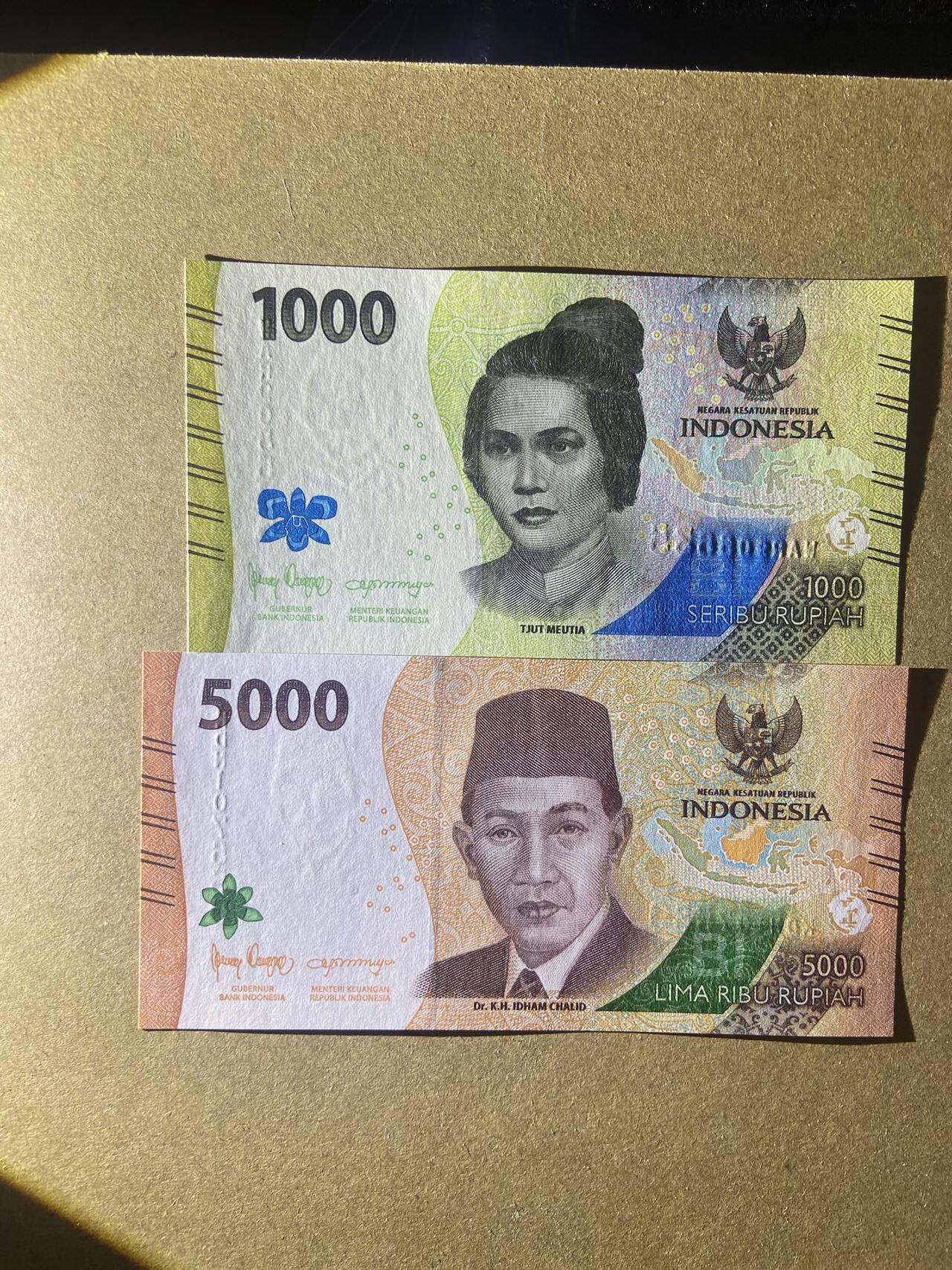 【炜奕收藏】，第十八期 印尼新版纸币两张，UNC品相