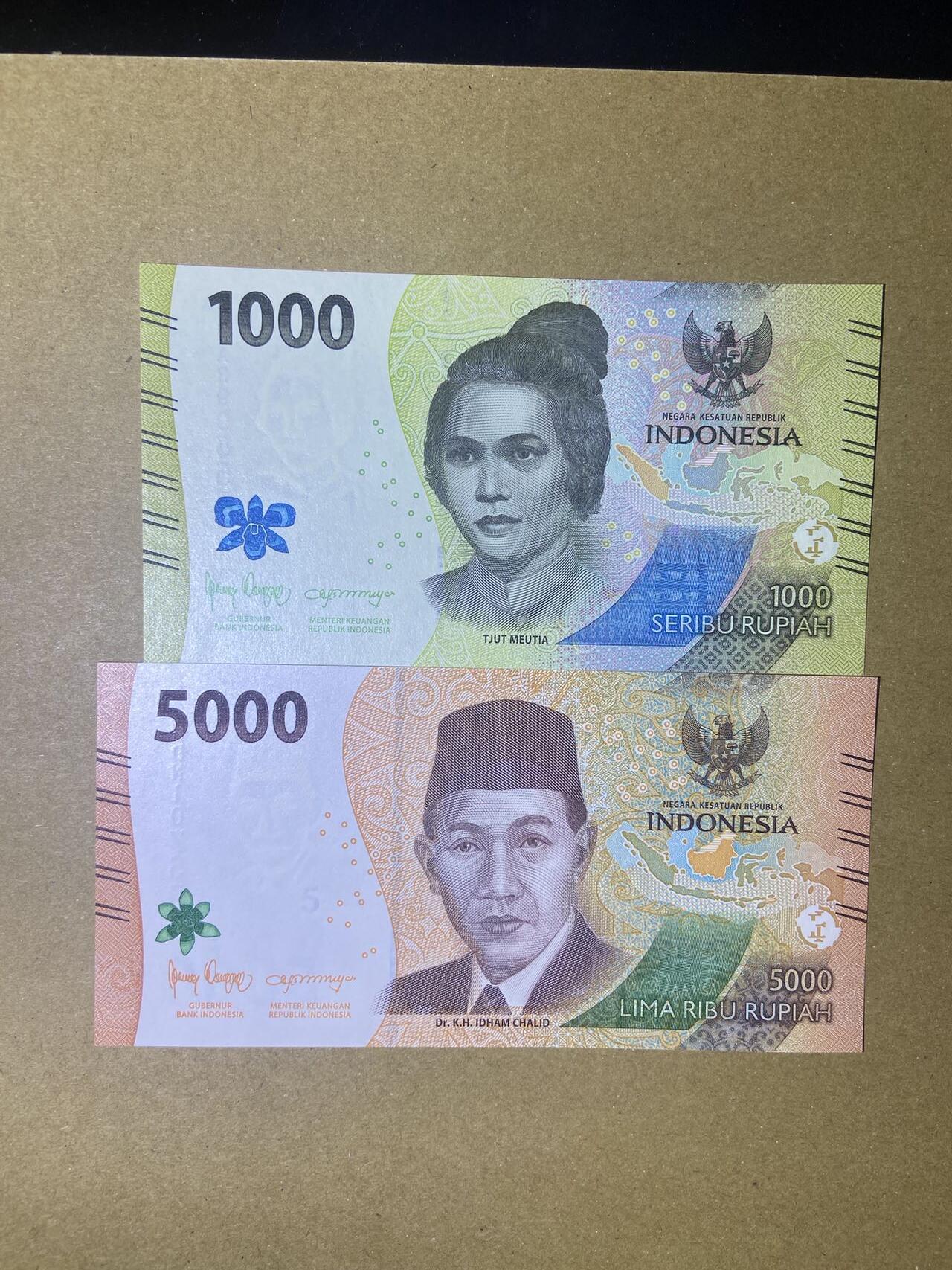 【炜奕收藏】，第十八期 印尼新版纸币两张，UNC品相