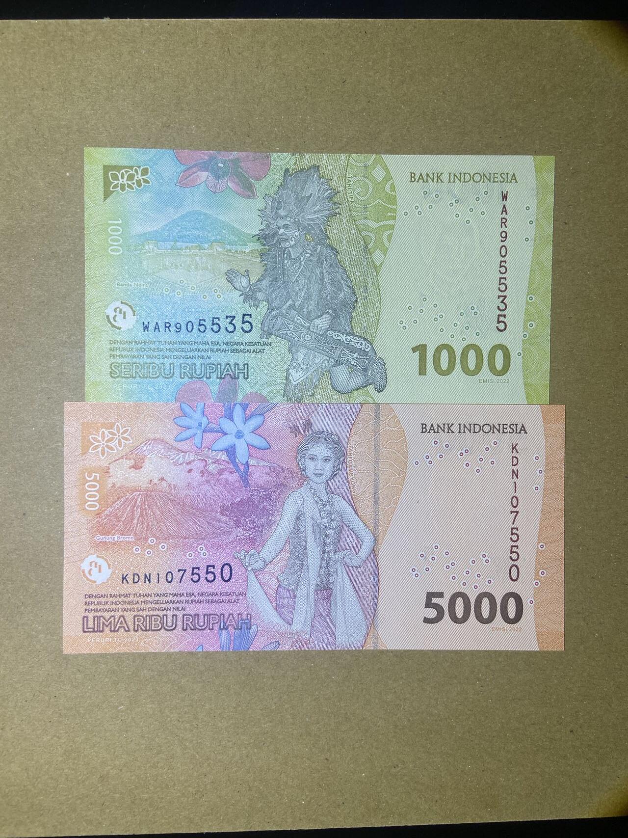 【炜奕收藏】，第十八期 印尼新版纸币两张，UNC品相