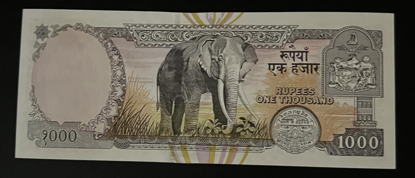 珑诚汇·乐淘淘 世界纸币拍卖 第32期 低佣场 尼泊尔2000年纸币 1000卢比 边缘轻微荧光 UNC