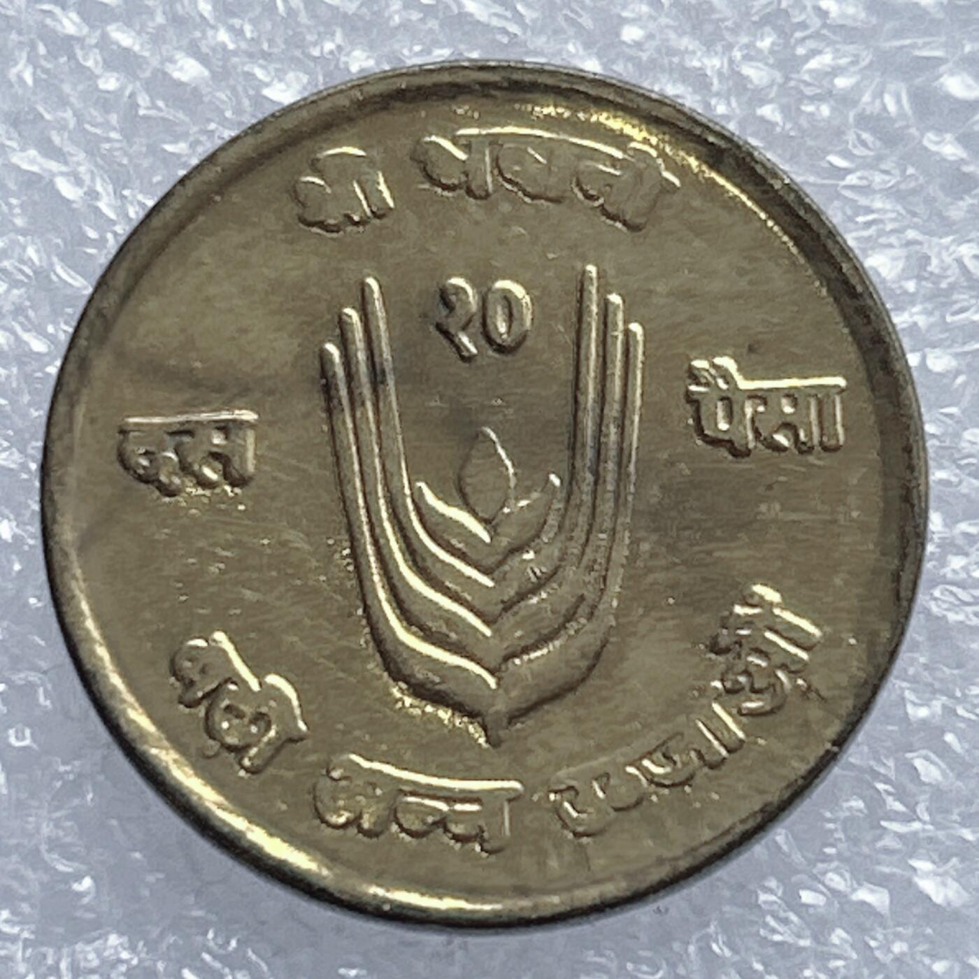 海外回流1元起拍小铺 各国钱币散币场 第18期 尼泊尔10派沙