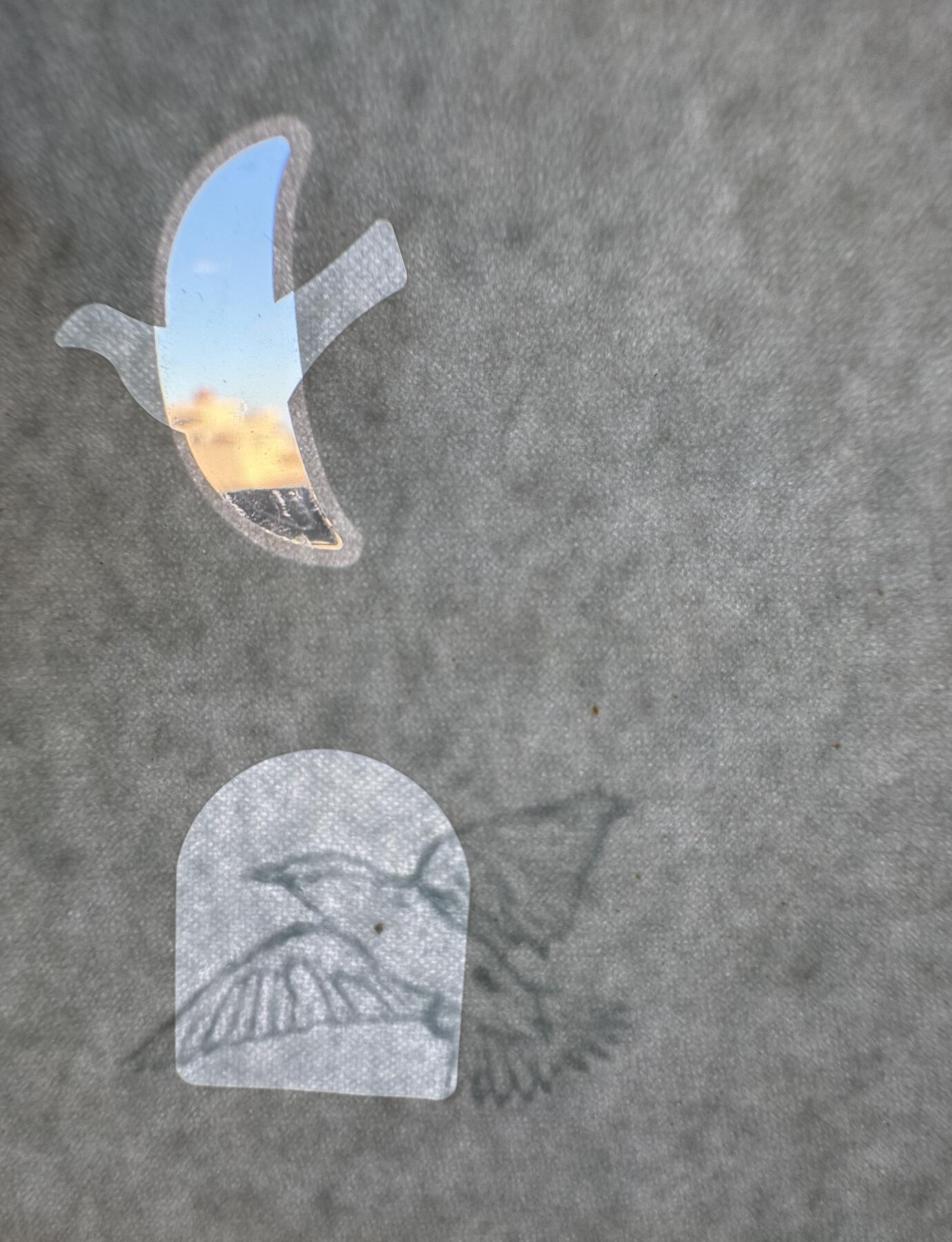 2025第12场（总第212期）：测试钞、塑料钞、连体钞、票样、评级币综合场