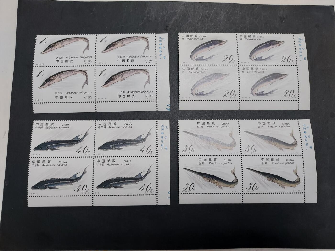 理想集藏/博彦收藏 11月13日 8点邮票专场 1994-3 方连带铭 新全 全新