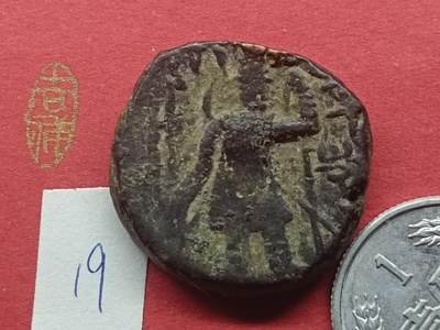 丝路打制货币及外国硬币 丝路打制货币19