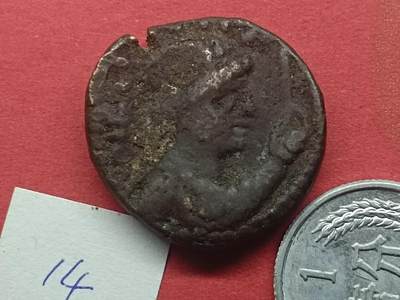 丝路打制货币及外国硬币 丝路打制货币14