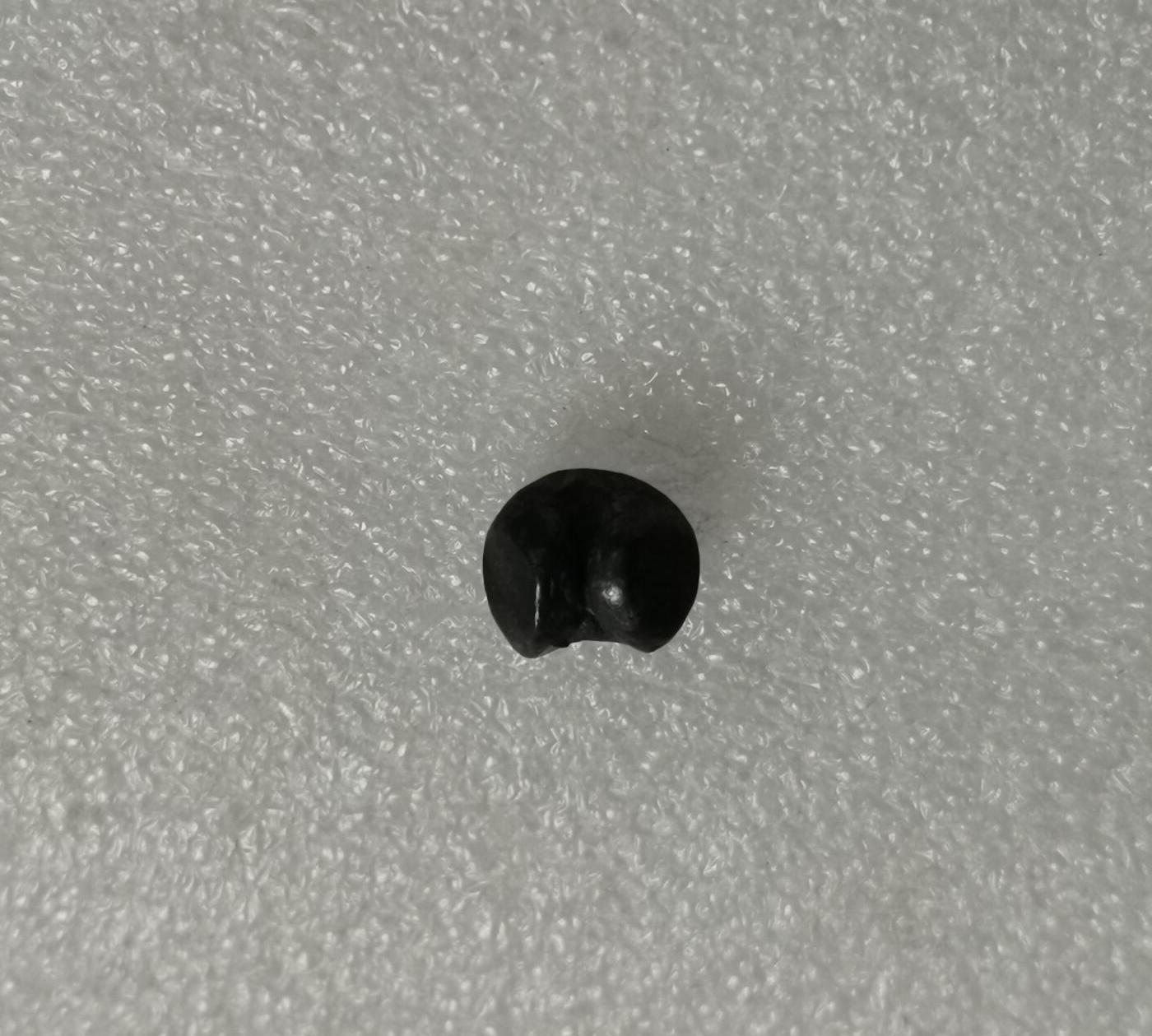 瓶子🏺第167期拍卖会  泰国早期象戳屁股锭银锭