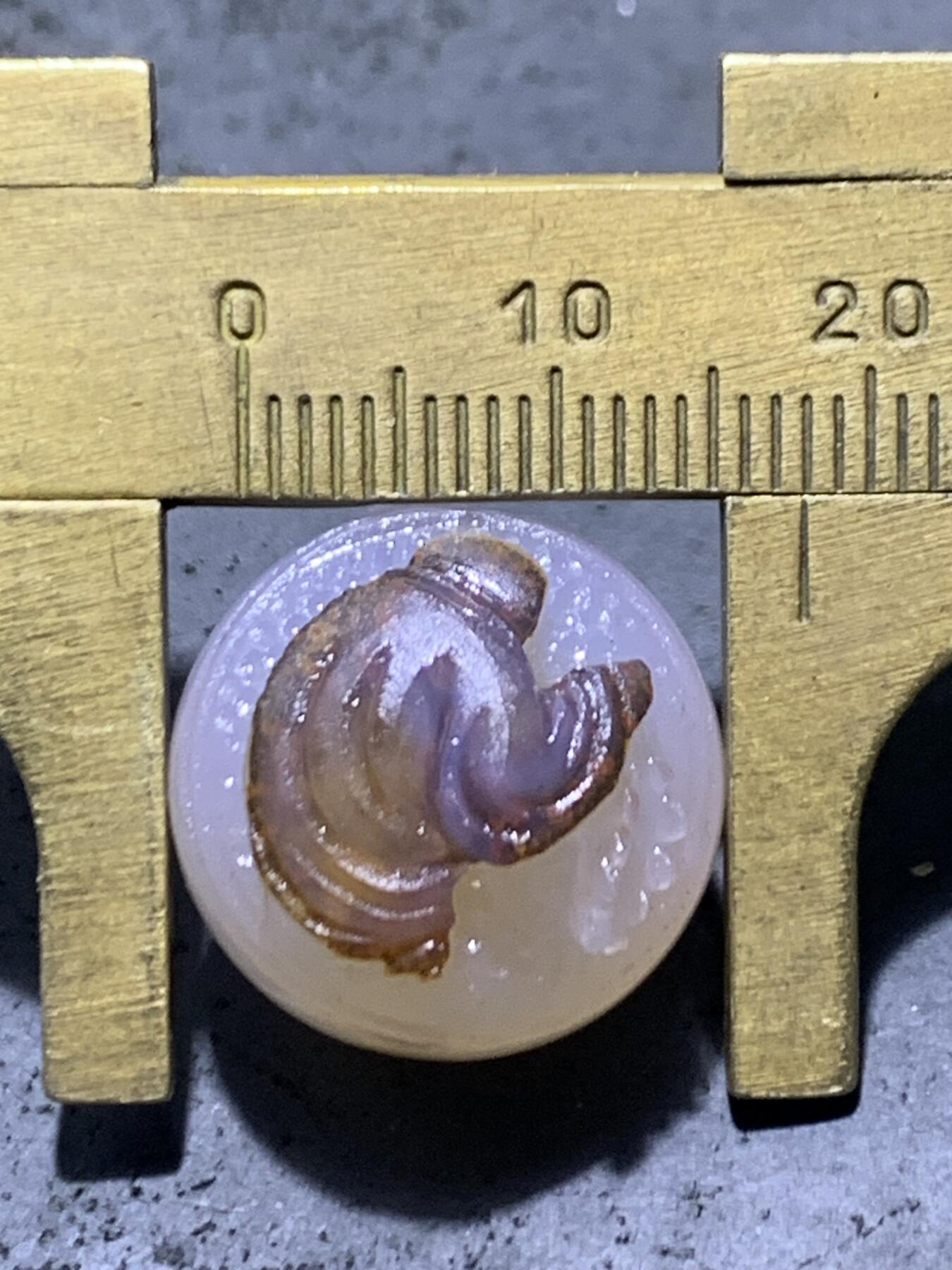 精美高玉化亚光海洋玉髓手工俏色巧雕一心向佛意境圆珠一个！