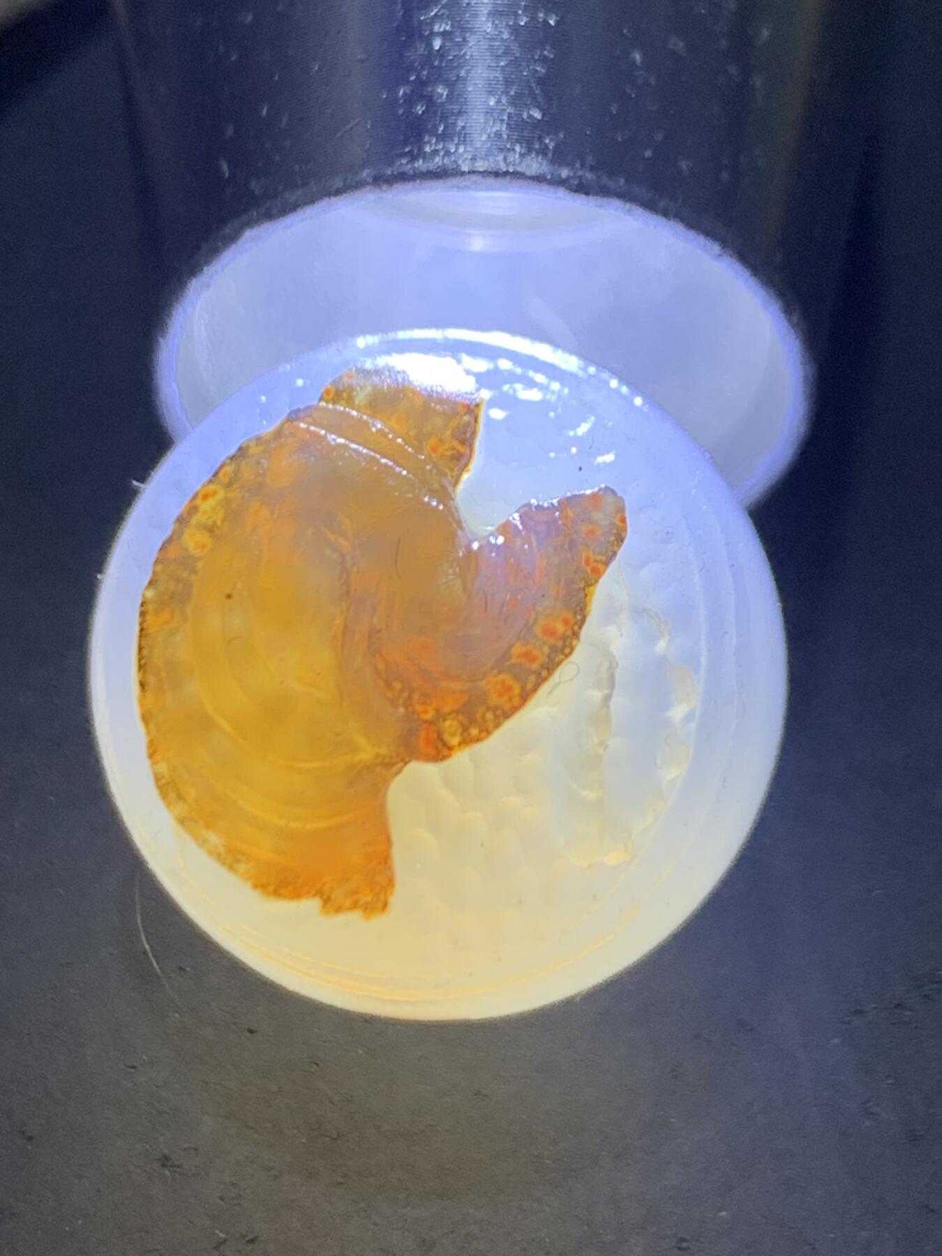 精美高玉化亚光海洋玉髓手工俏色巧雕一心向佛意境圆珠一个！