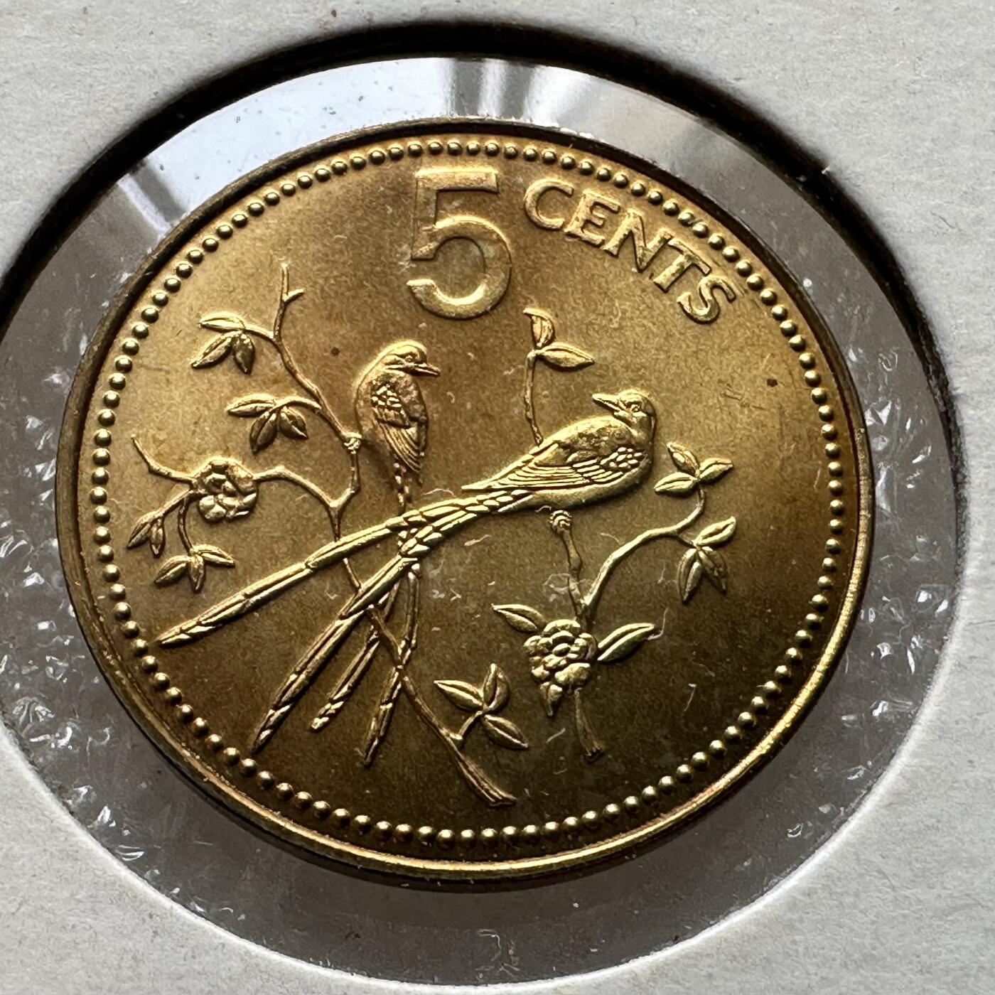 🌹外币初藏🌹🐯第100场 感谢诸友支持捧场！本期全场包邮！ 伯利兹1976年五分