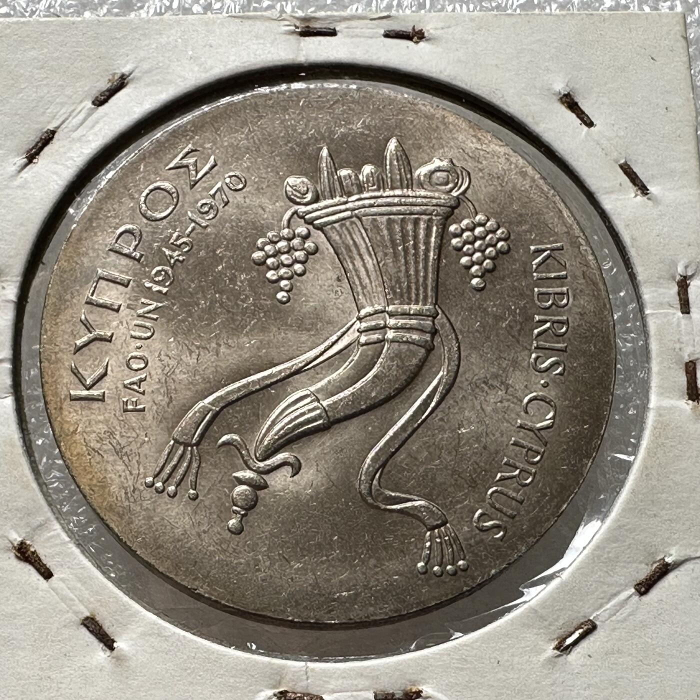 🌹外币初藏🌹🐯第100场 感谢诸友支持捧场！本期全场包邮！ 塞浦路斯1970年500米尔FAO币