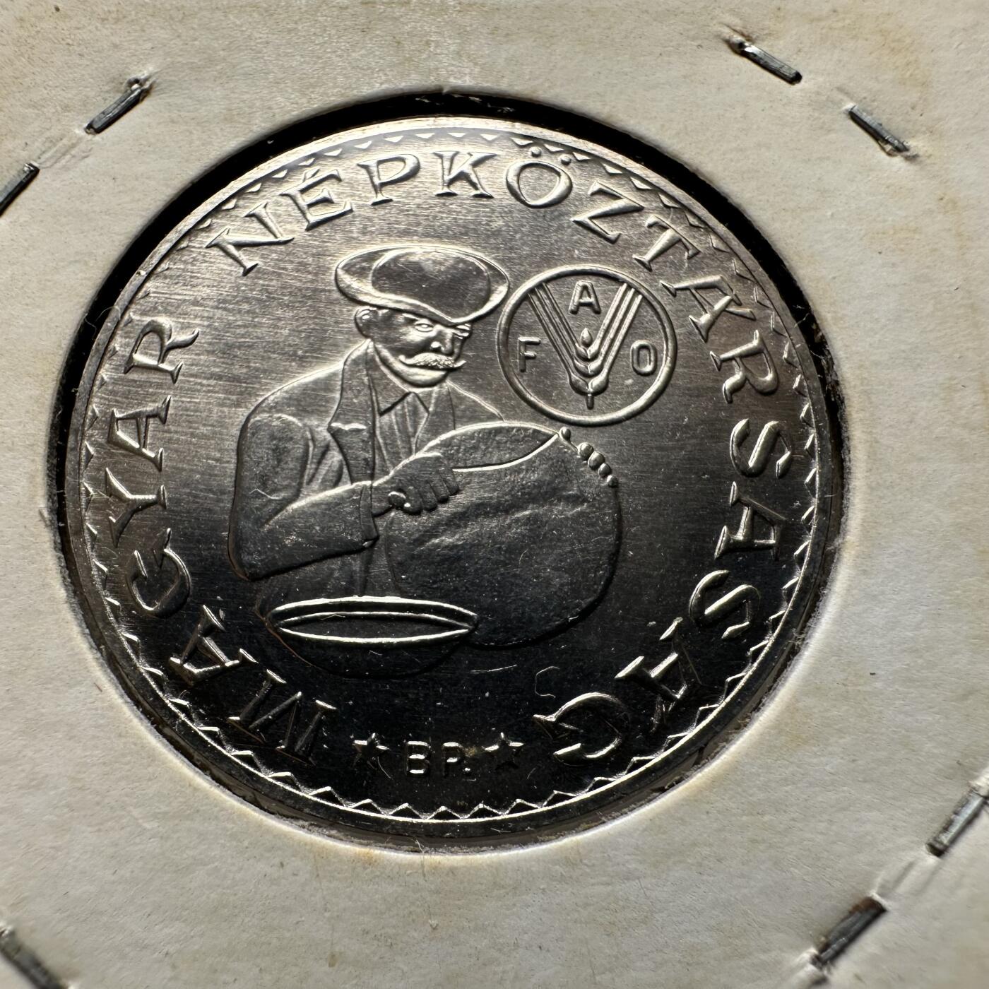 🌹外币初藏🌹🐯第100场 感谢诸友支持捧场！本期全场包邮！ 匈牙利1983年10福林 FAO币