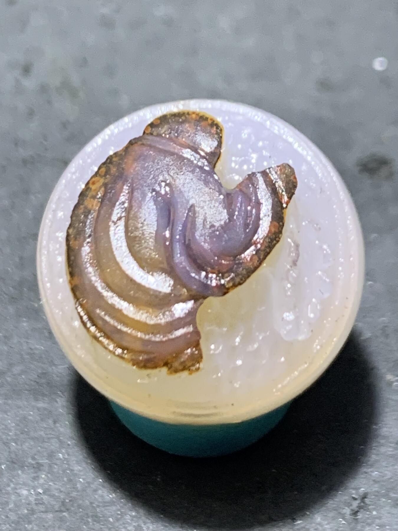 精美高玉化亚光海洋玉髓手工俏色巧雕一心向佛意境圆珠一个！