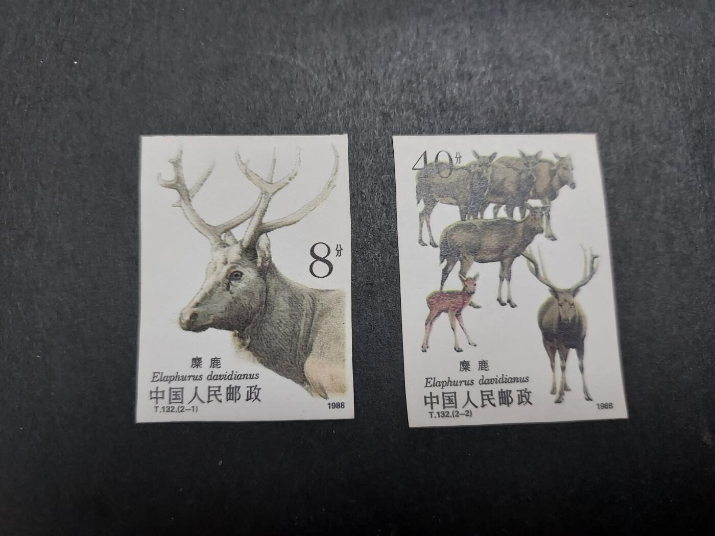 博彦收藏 11月21日 8点邮票专场 麋鹿无齿新全 微黄/软折 上品