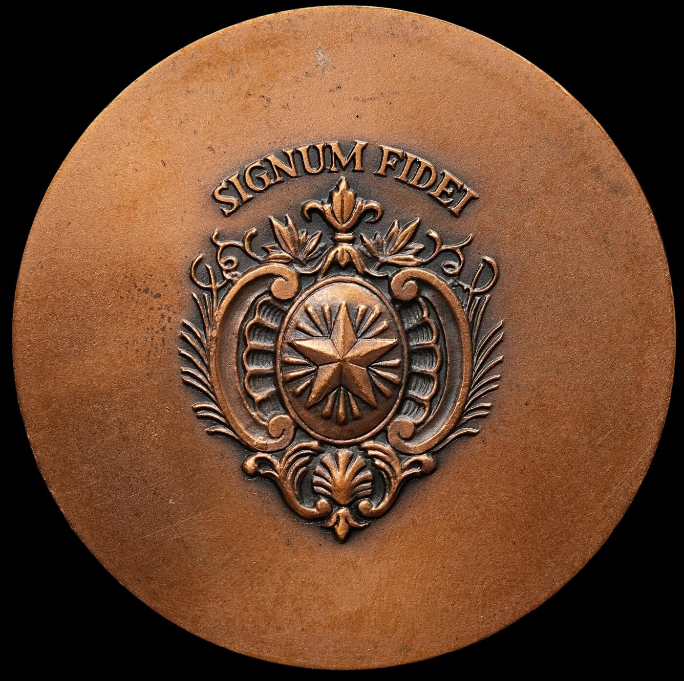修遠堂世界钱币第四十七期 全场包邮 比利时现代人物纪念大铜章 60mm，103g