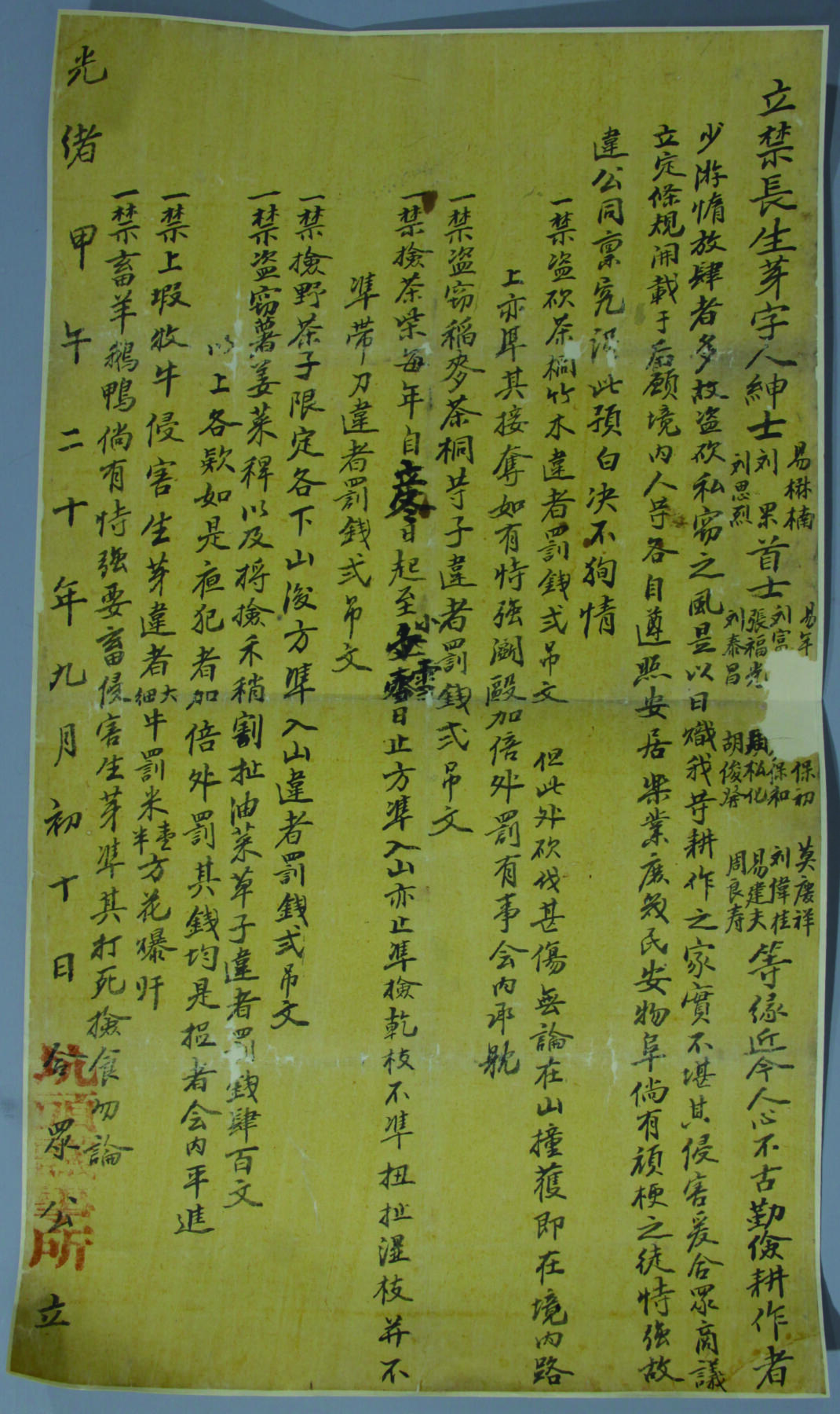 华宇2024年秋季拍卖会 光绪甲午年江西婺源县坑头议事所禁砍茶树布告一件，尺寸：32×56CM