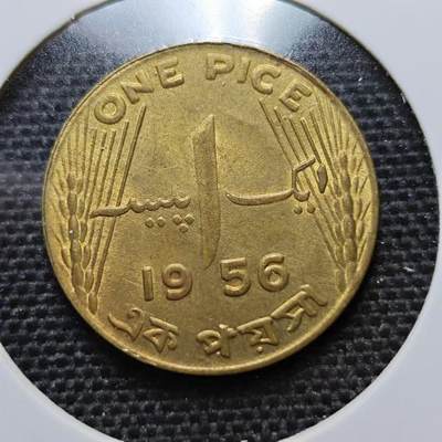 KK钱币收藏小铺  第173期 2月预留时间 每日一拍 周末发货 -  1956巴基斯坦1派沙 铜币