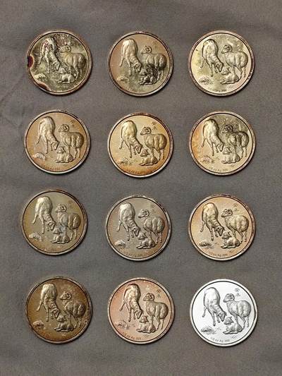 生肖天花板2003年沈币厂1/2盎司生肖羊纯银章12枚原光品质发行量只3千枚标的是单枚价 - 生肖天花板2003年沈币厂1/2盎司生肖羊纯银章12枚原光品质发行量只3千枚标的是单枚价