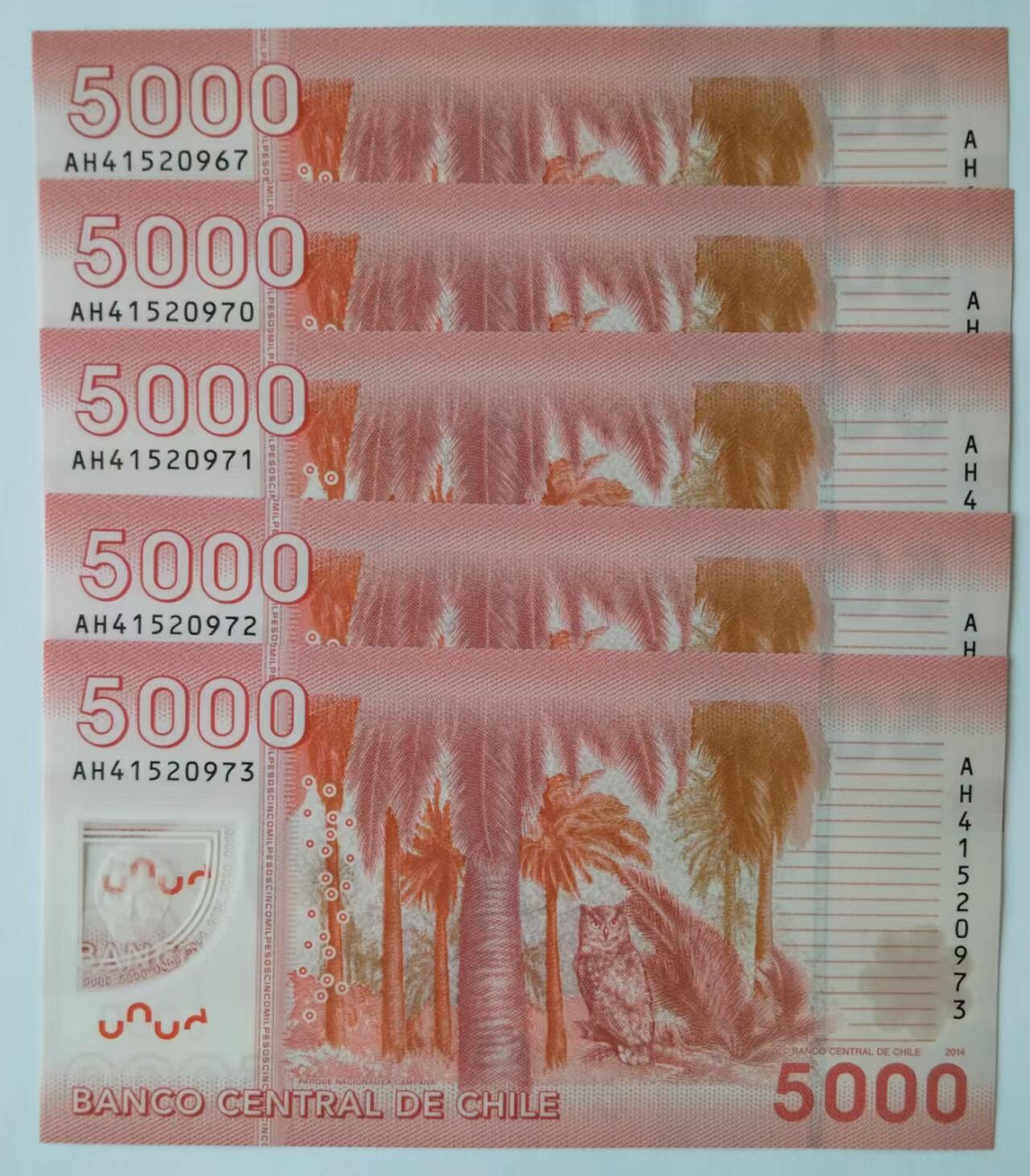 天和轩精品钱币第46场 全新UNC 智利5000塑料钞 （5张）