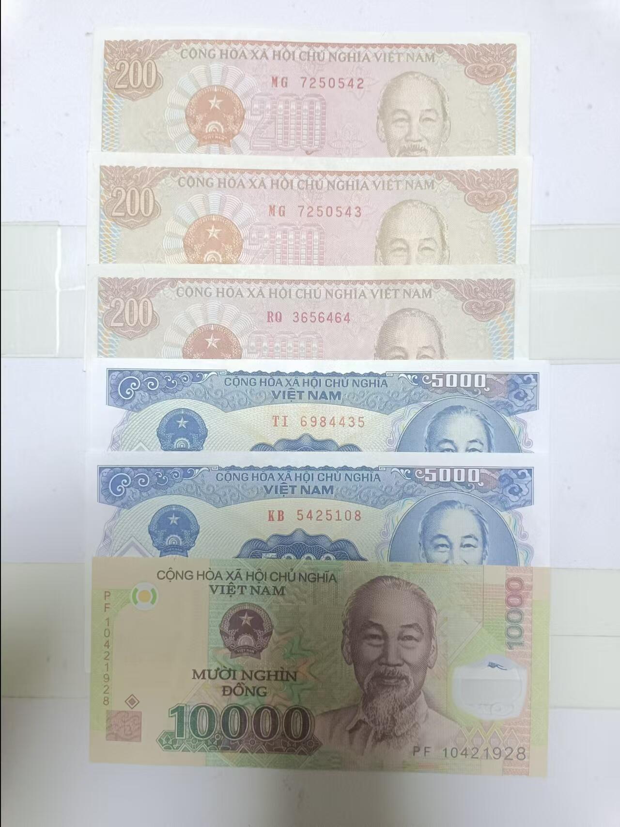 【20241127】非全新硬币和纸币第192场 越南6张纸币