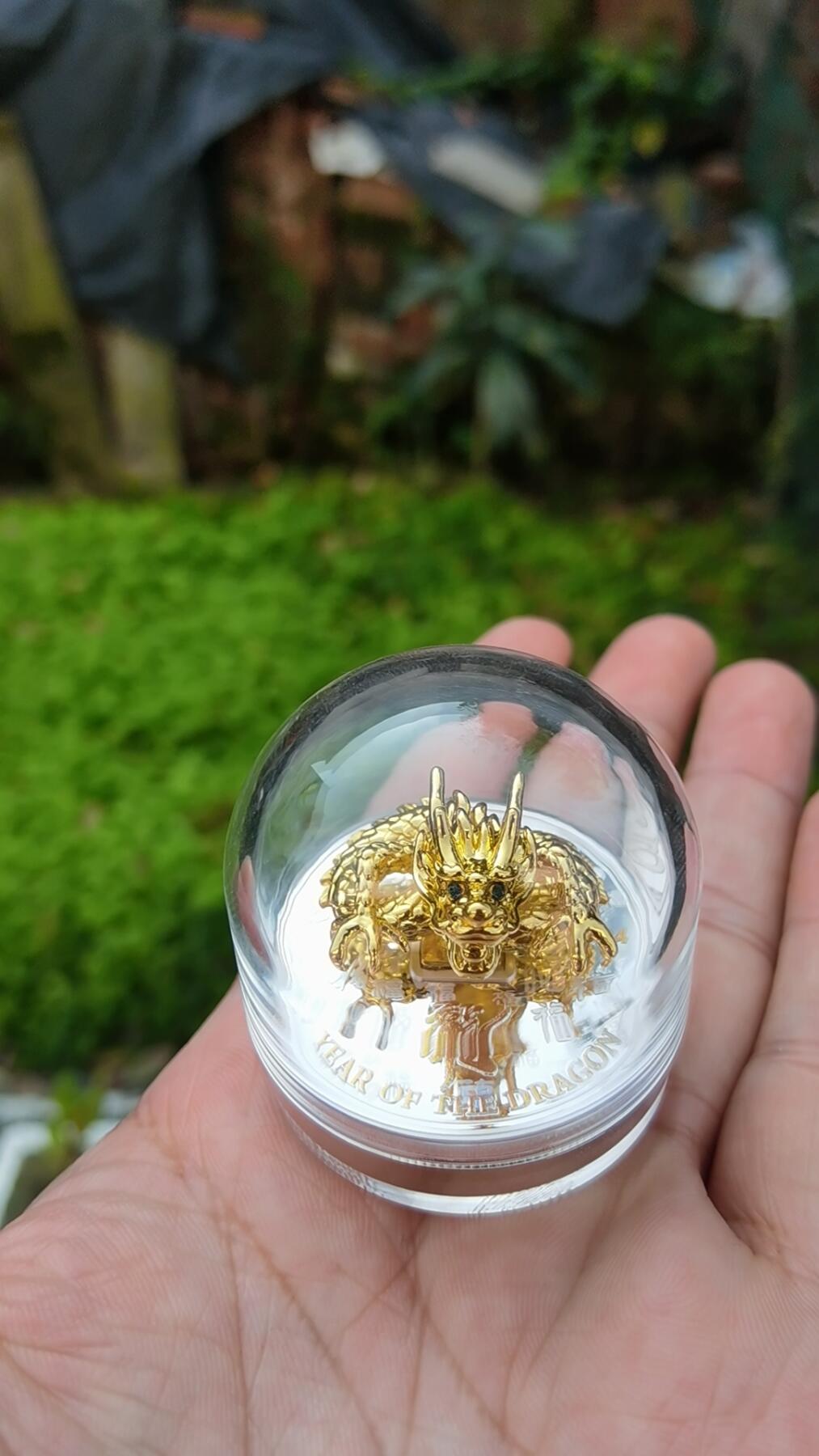 【海宁潮现货】喀麦隆2024年祥龙降幅3D立体镀银彩色纪念币359现货提供