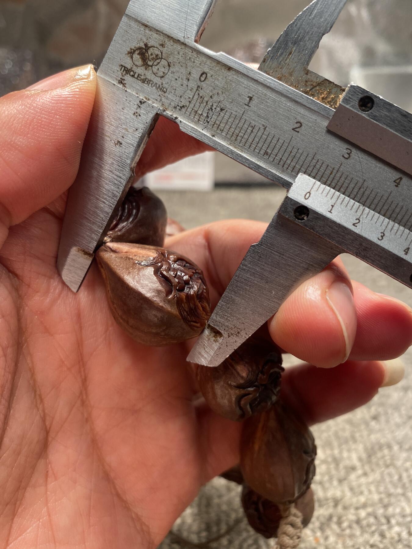 苏工核雕手工文化捡漏价 苏工核雕纯手工天然紫核雕刻，南极仙翁，核色紫润，尺寸2.0x2。7左右立体感十足，美不胜收，喜欢的来价格不贵