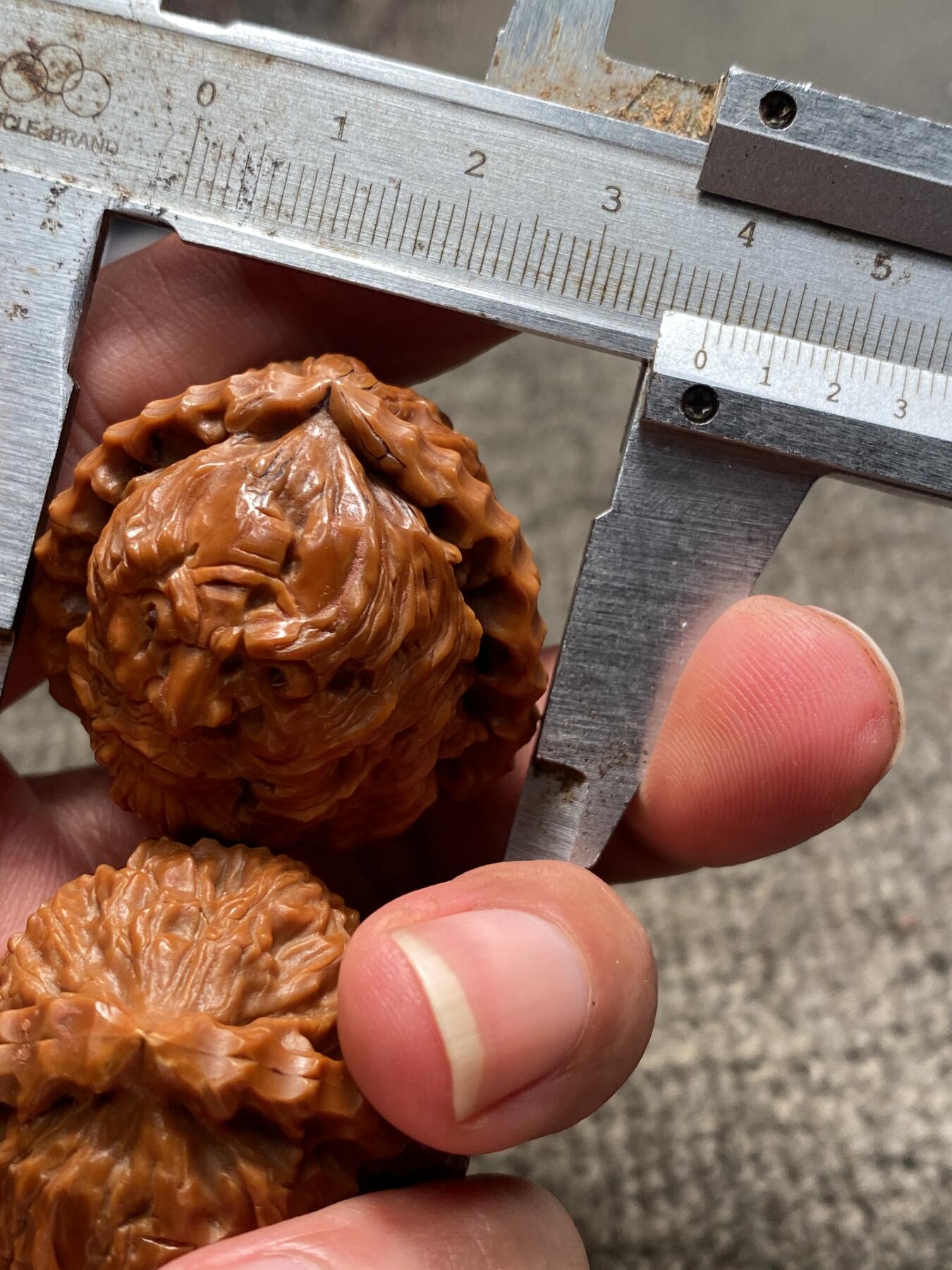 苏工核雕手工文化捡漏价 福利苏工核雕纯手工雕刻，钟馗，白狮子核桃雕，个性十足，等待有缘人，尺寸3。88喜欢的来