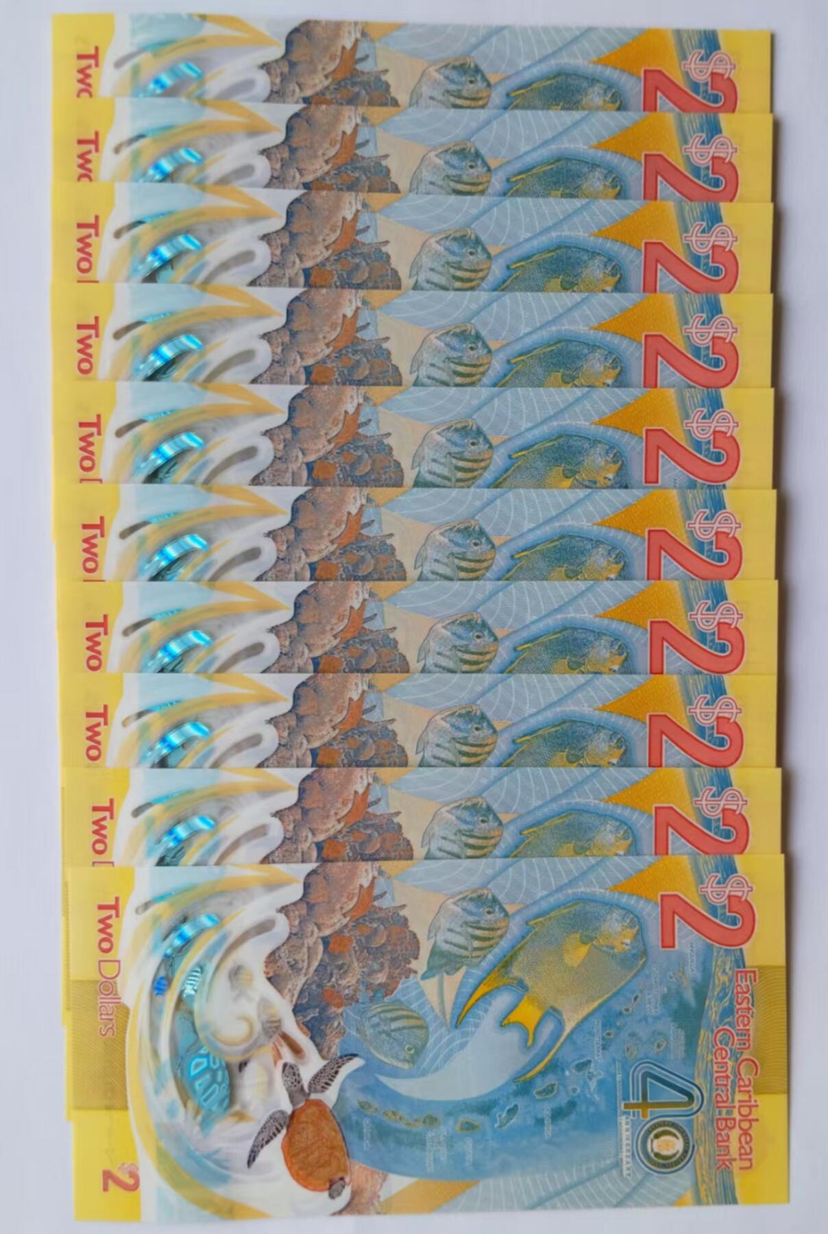 天和轩精品钱币第47场 全新UNC东加勒比2塑料钞（10张）