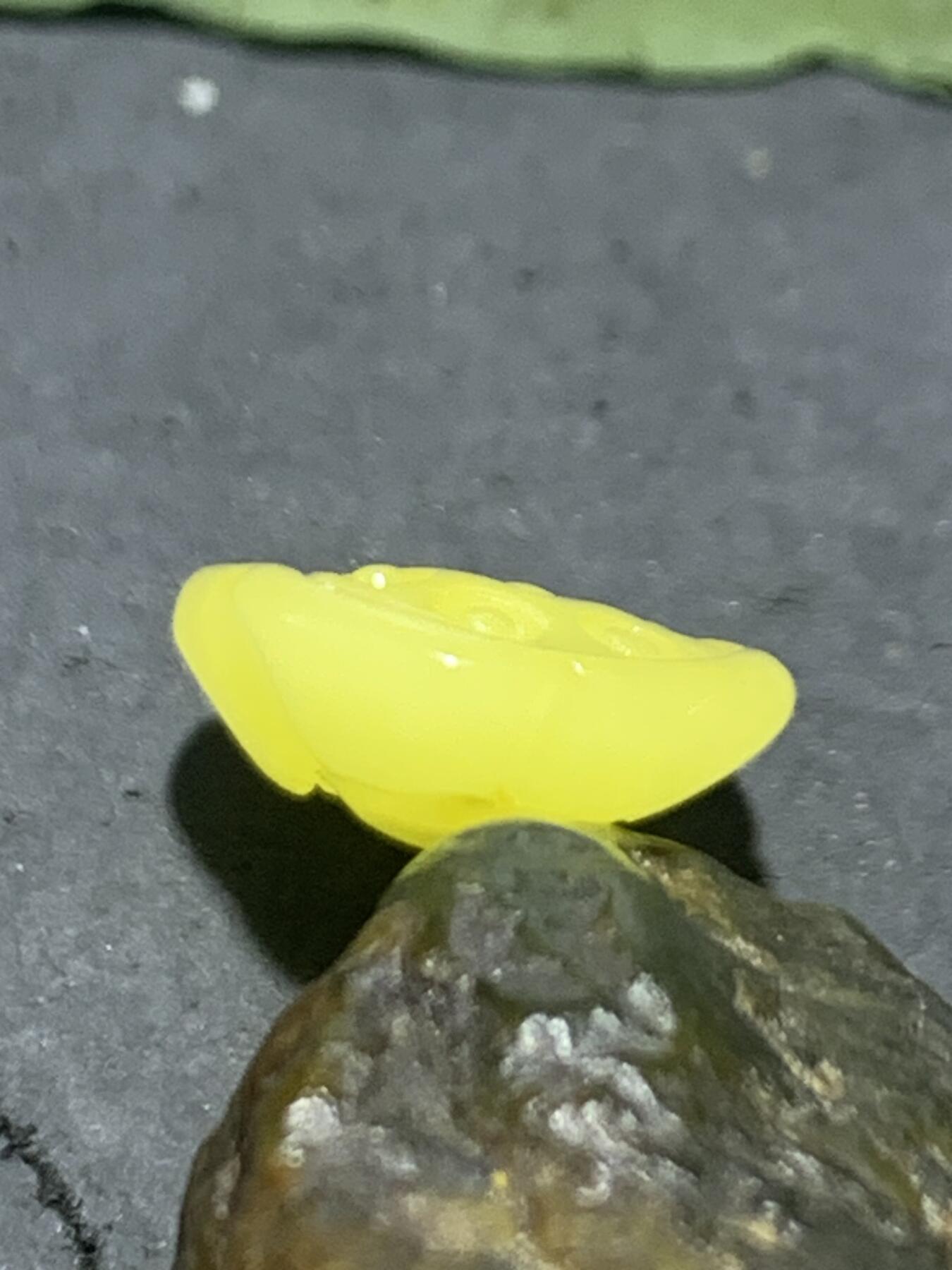 天然乌克兰蜜蜡雕刻莲蓬吊坠（扣子）一个，