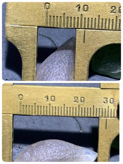 天然戈壁阿拉善玛瑙原石吊坠（卡子）一个， 天然戈壁阿拉善玛瑙原石吊坠（卡子）一个，