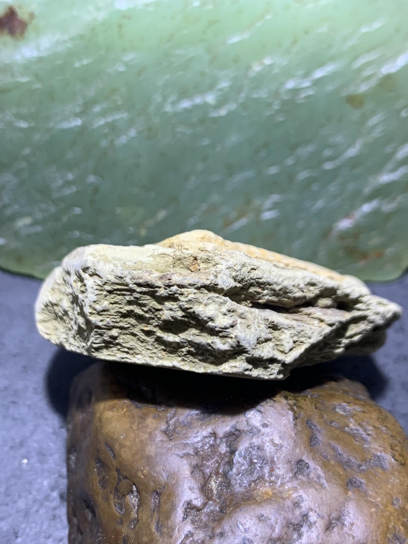 精美天然湘西三叶虫尾巴化石王冠虫张氏虫古生物化石标本原石一颗，