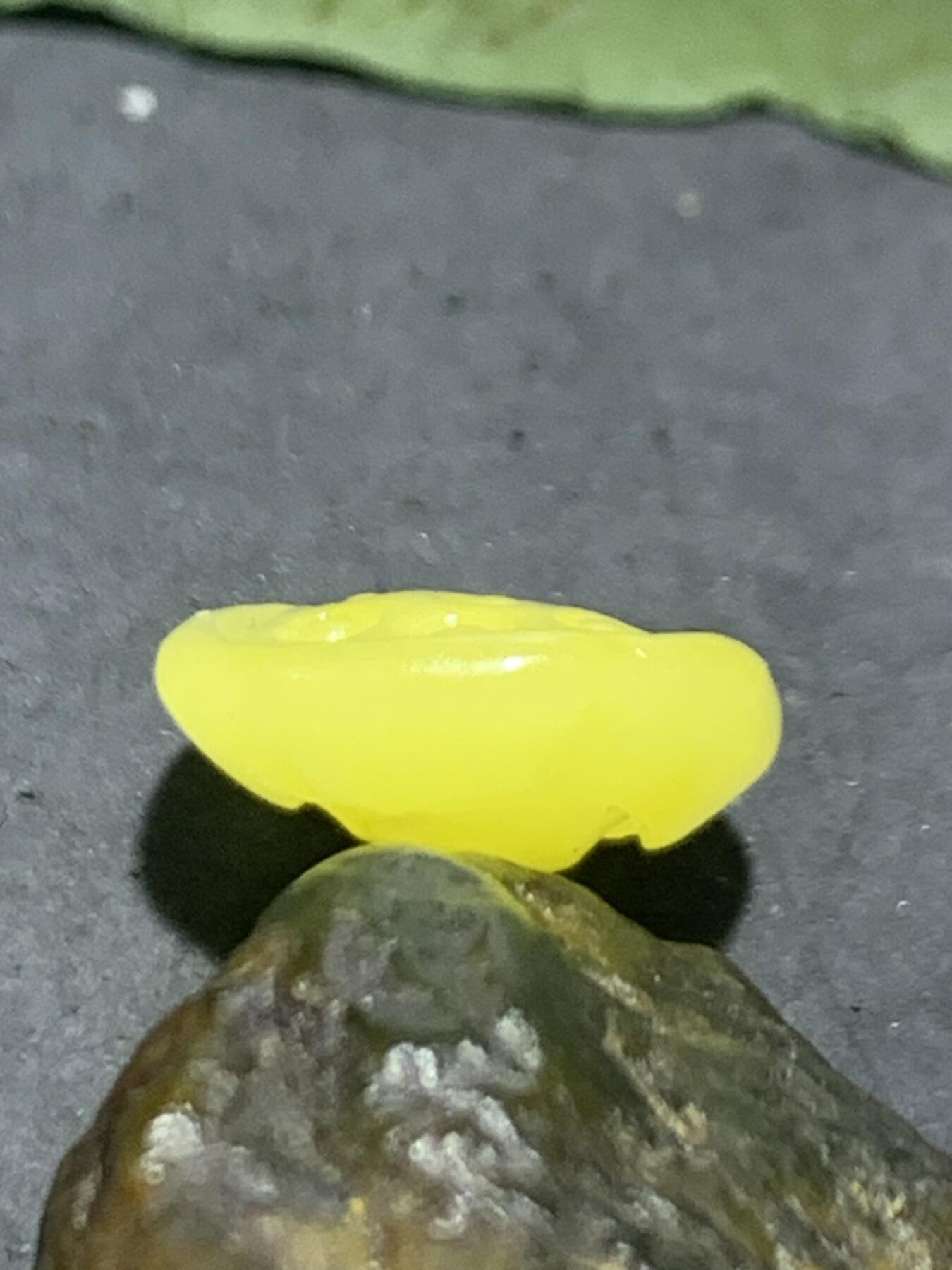 天然乌克兰蜜蜡雕刻莲蓬吊坠（扣子）一个，