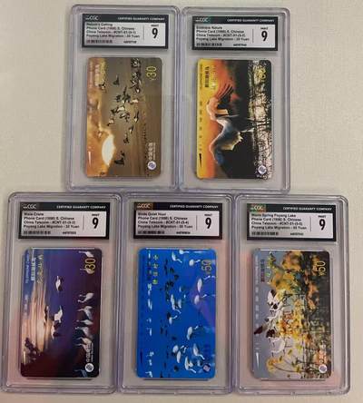 《卡拍》第314期拍卖12月1日晚22：10时延时截拍 全国通用田村卡《候鸟》五全新卡，CGC评级9分。