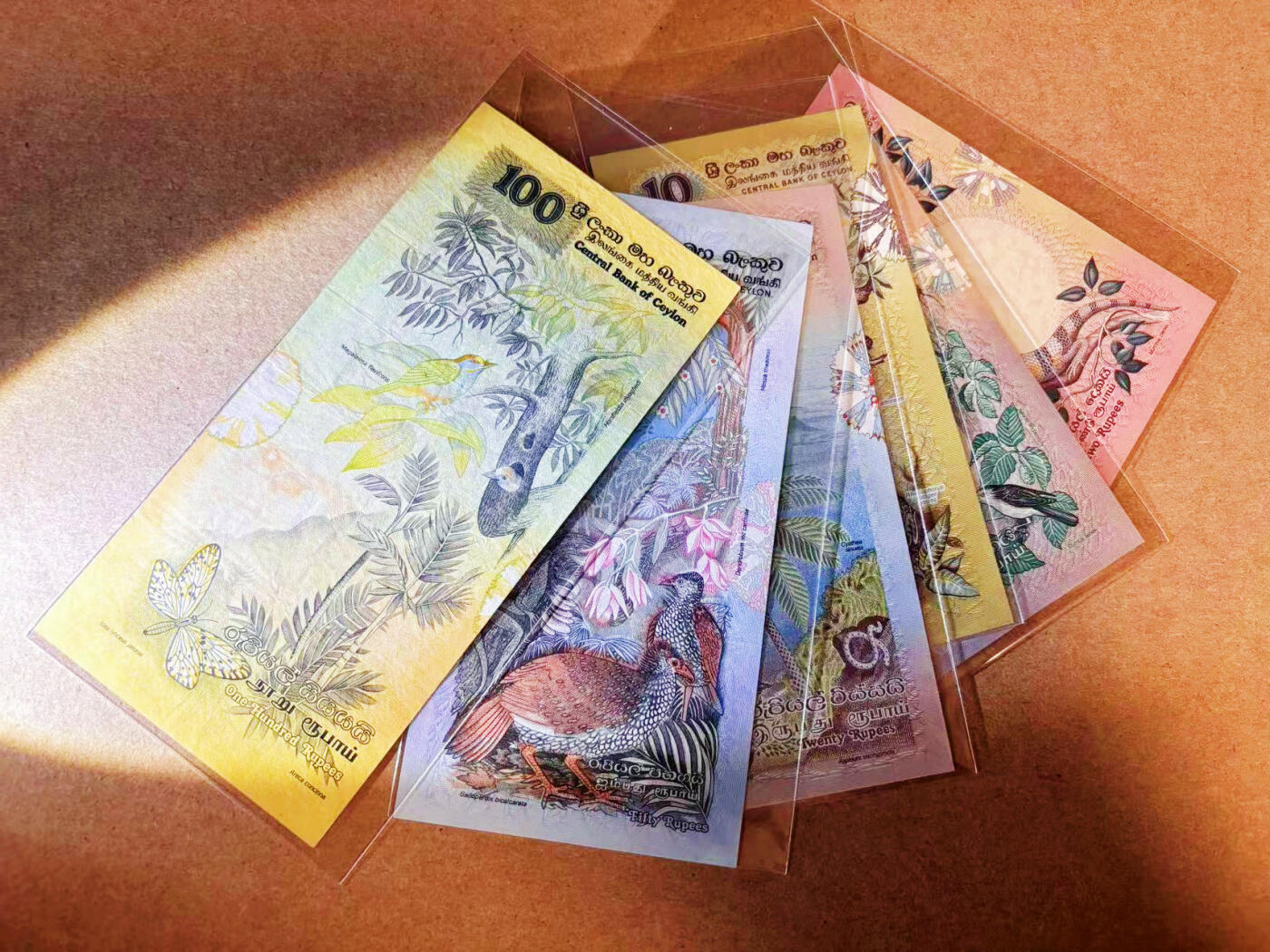 【Blue Auction】✨世界纸币精拍第586期【精】 【一组6张】斯里兰卡 1979年2-50卢比 UNC/UNC-&1979年100卢比 大金鸟 流通品相