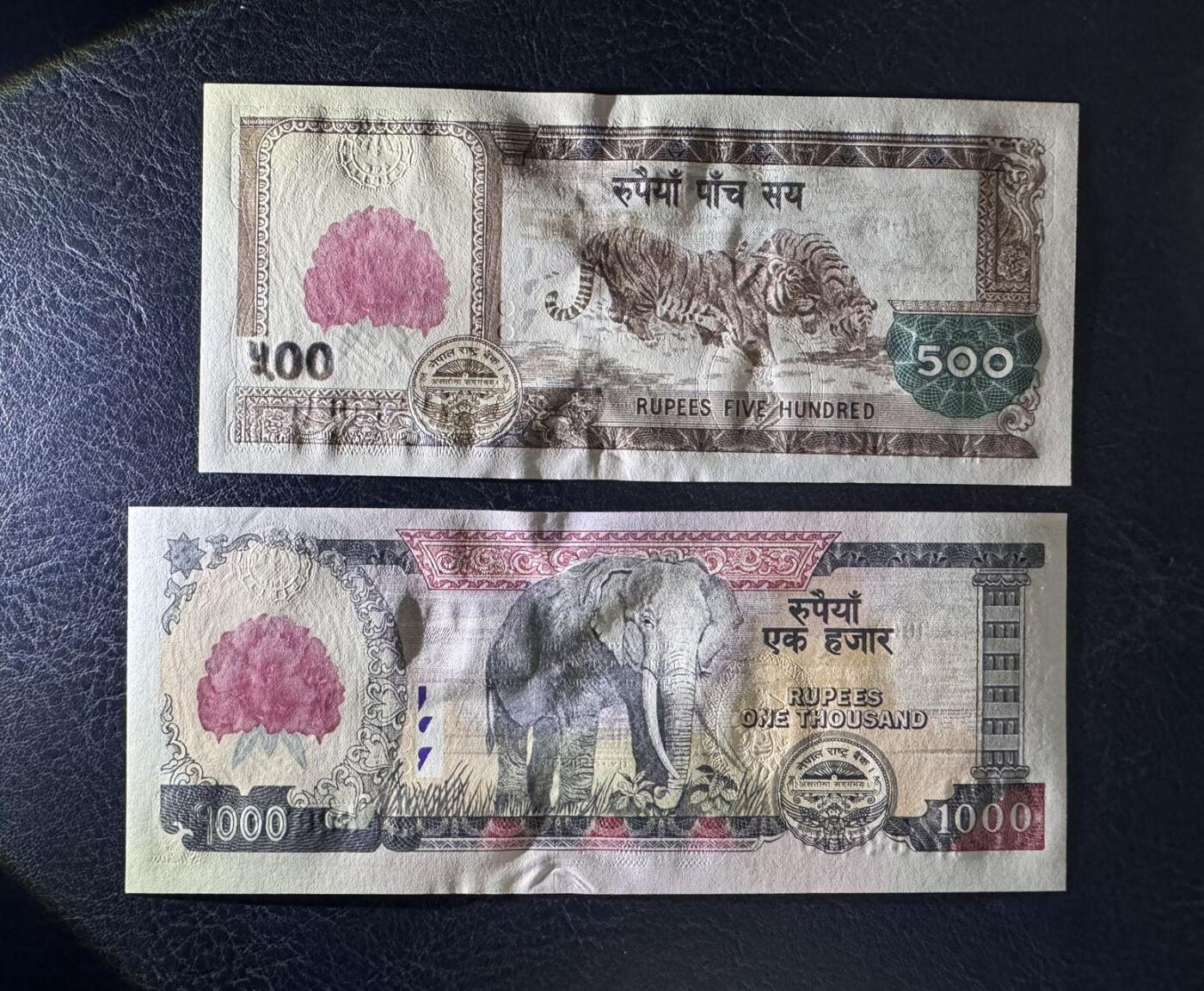 收藏联盟Quantum Auction 第395期拍卖  尼泊尔2008年大红花版500和1000卢比以及1951年1摩赫鲁卢比 品相UNC 1卢比有针孔 