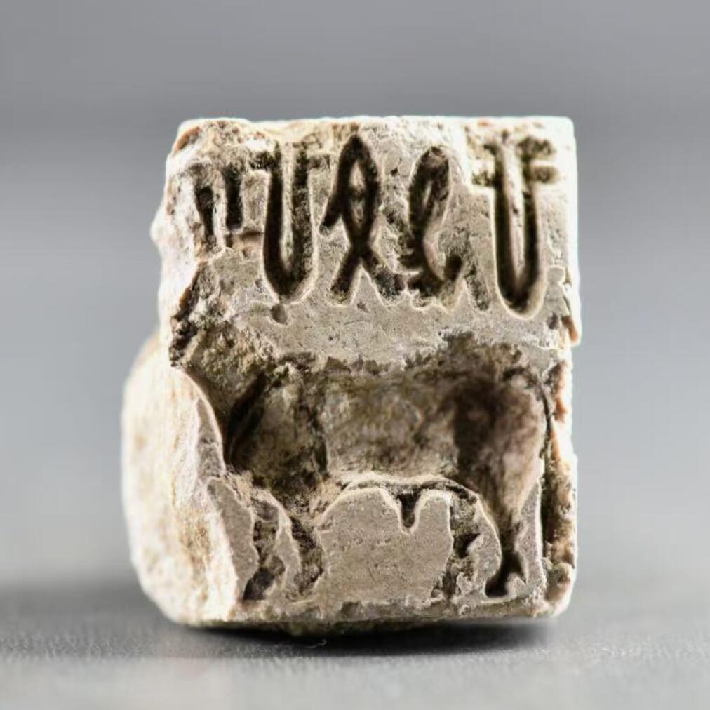 【良泉】2024年最后一场，200组！12月19日晚19.30点开拍！