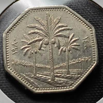KK钱币收藏小铺 第187期 2月预留时间 每日一拍 周末发货 -  伊拉克椰树 250费尔多边形