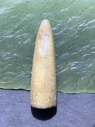 精美天然箭石震笔石震旦角石喇叭角石古生物化石原石一颗， - 精美天然箭石震笔石震旦角石喇叭角石古生物化石原石一颗，