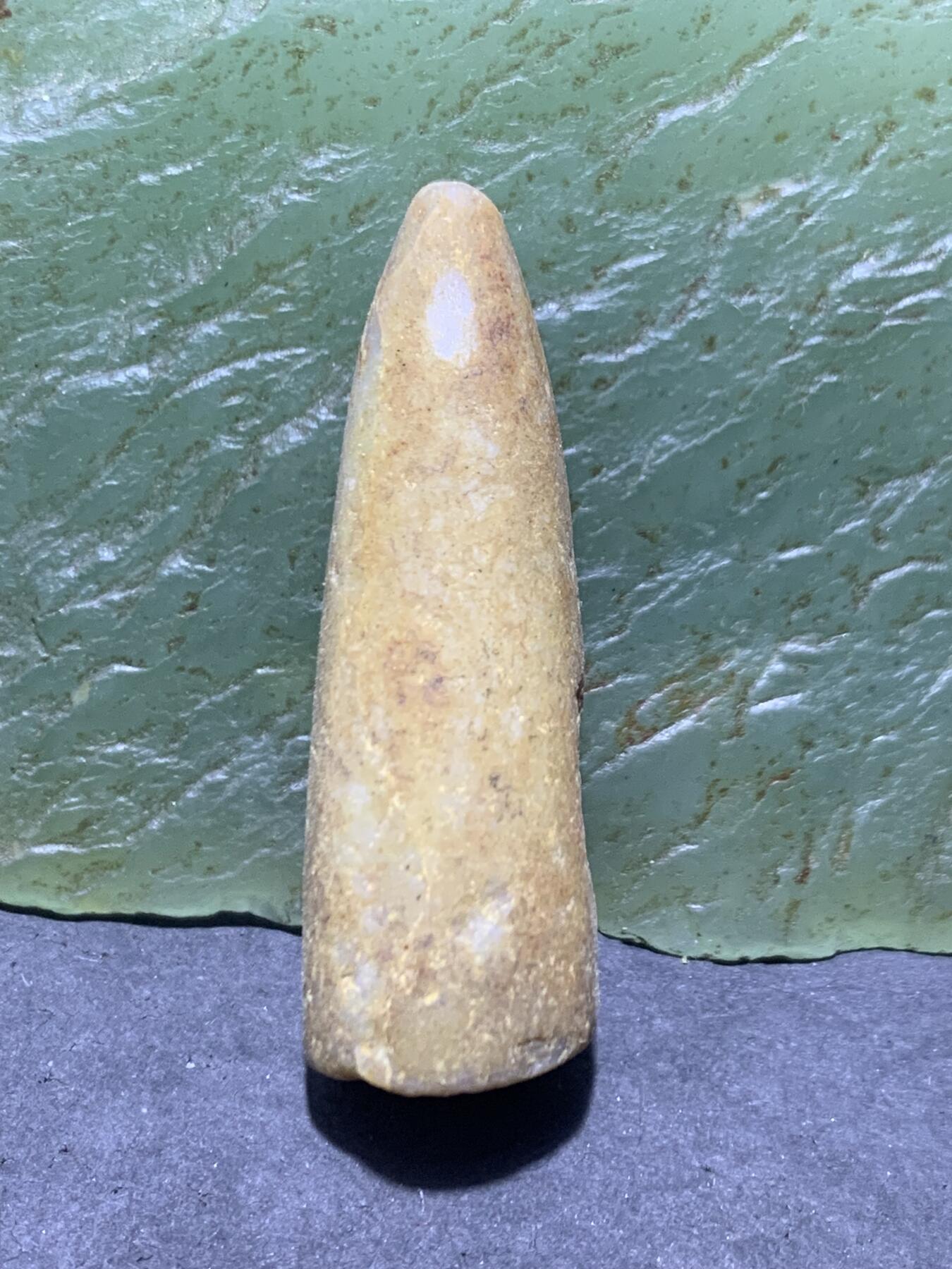 精美天然箭石震笔石震旦角石喇叭角石古生物化石原石一颗，