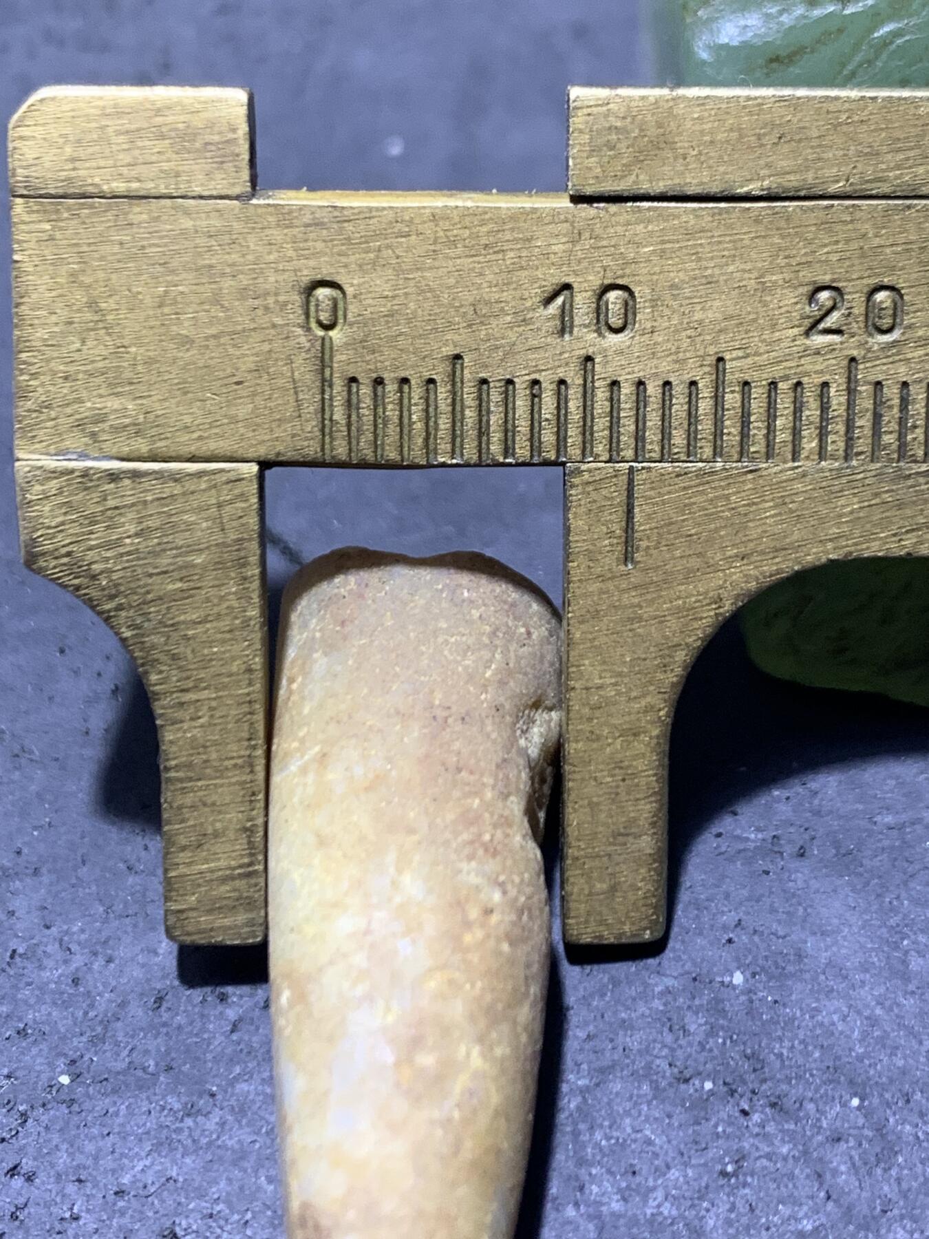 精美天然箭石震笔石震旦角石喇叭角石古生物化石原石一颗，