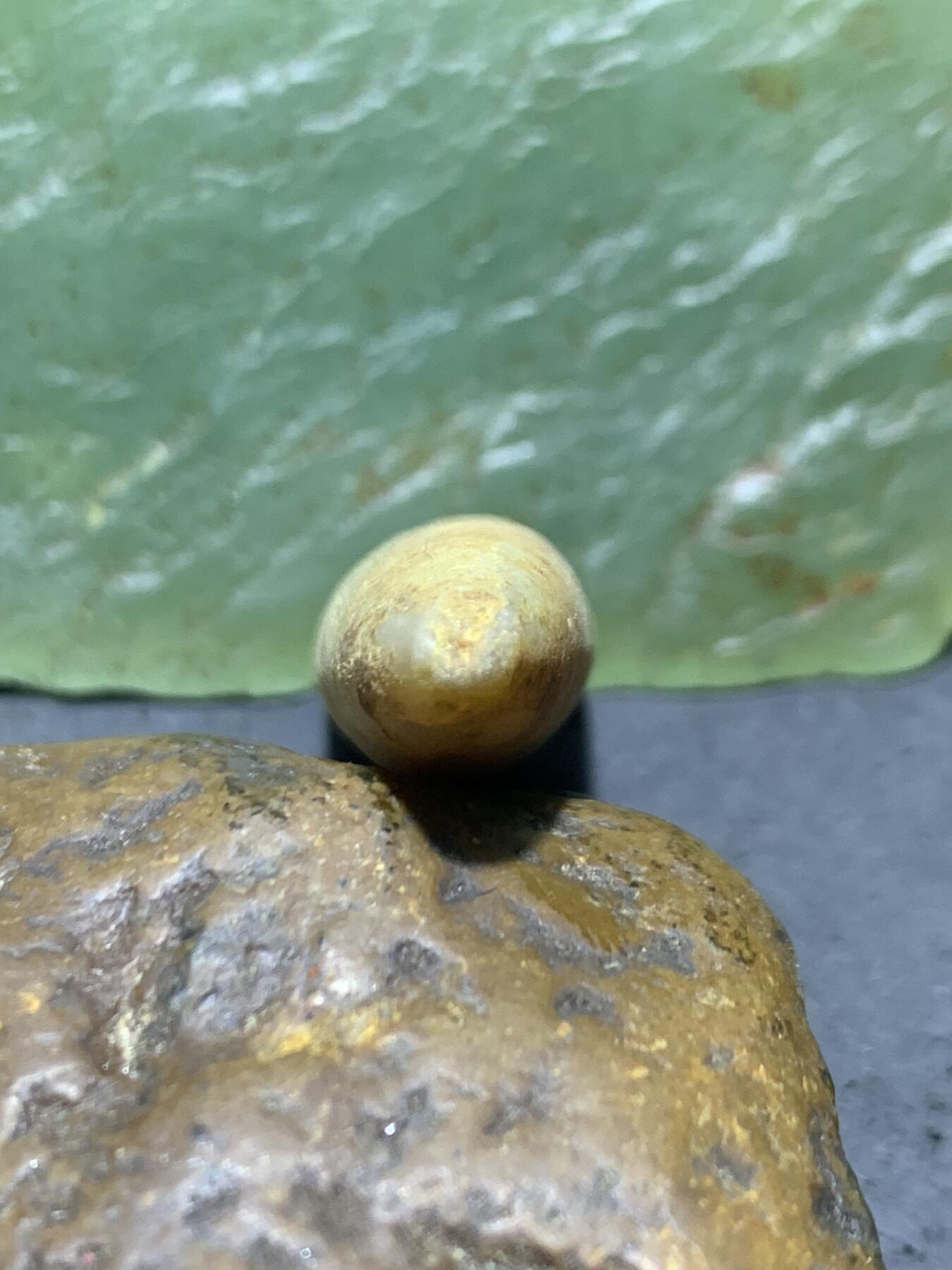 精美天然箭石震笔石震旦角石喇叭角石古生物化石原石一颗，