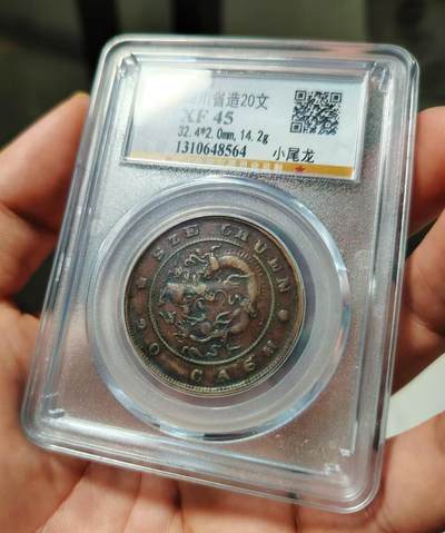 四川当二十小尾龙 四川当二十小尾龙